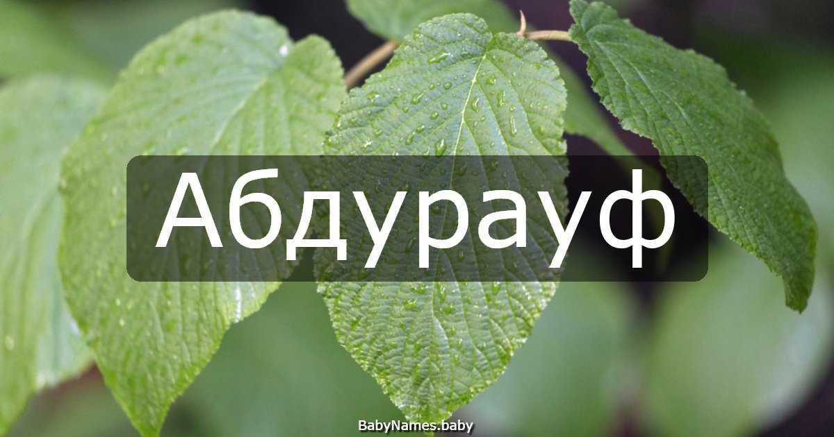 Абдурауф