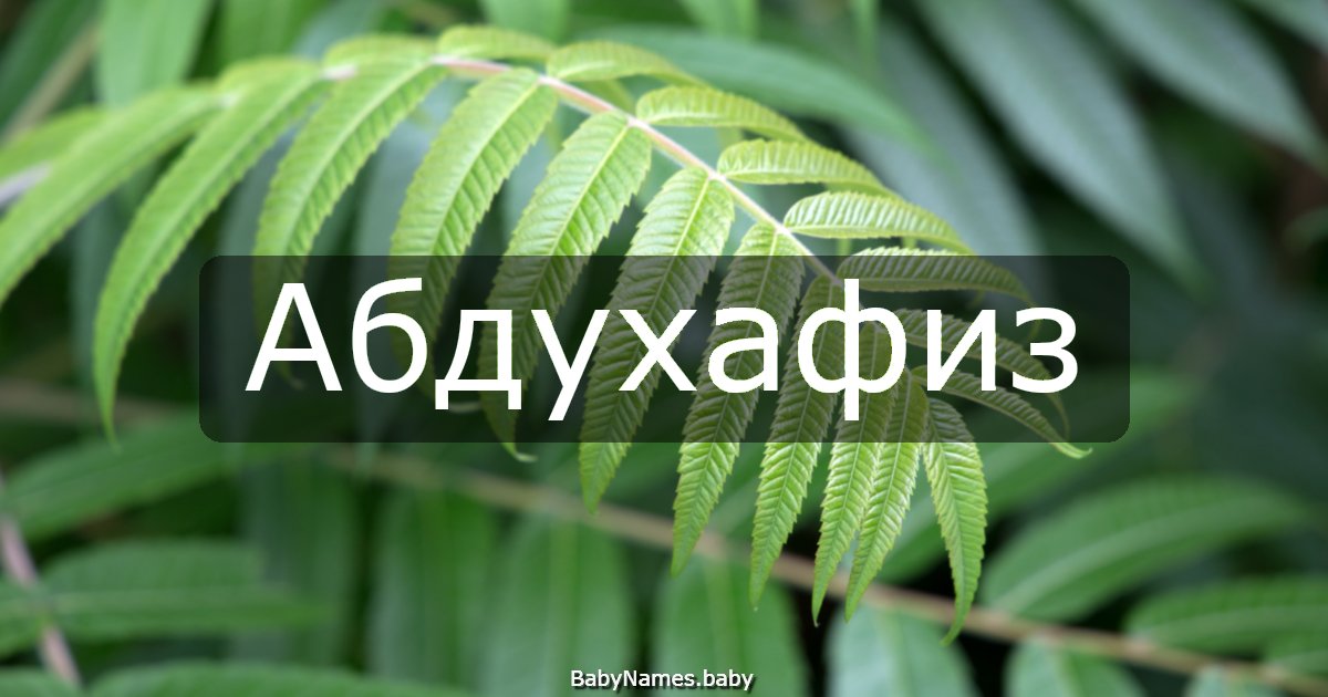Абдухафиз