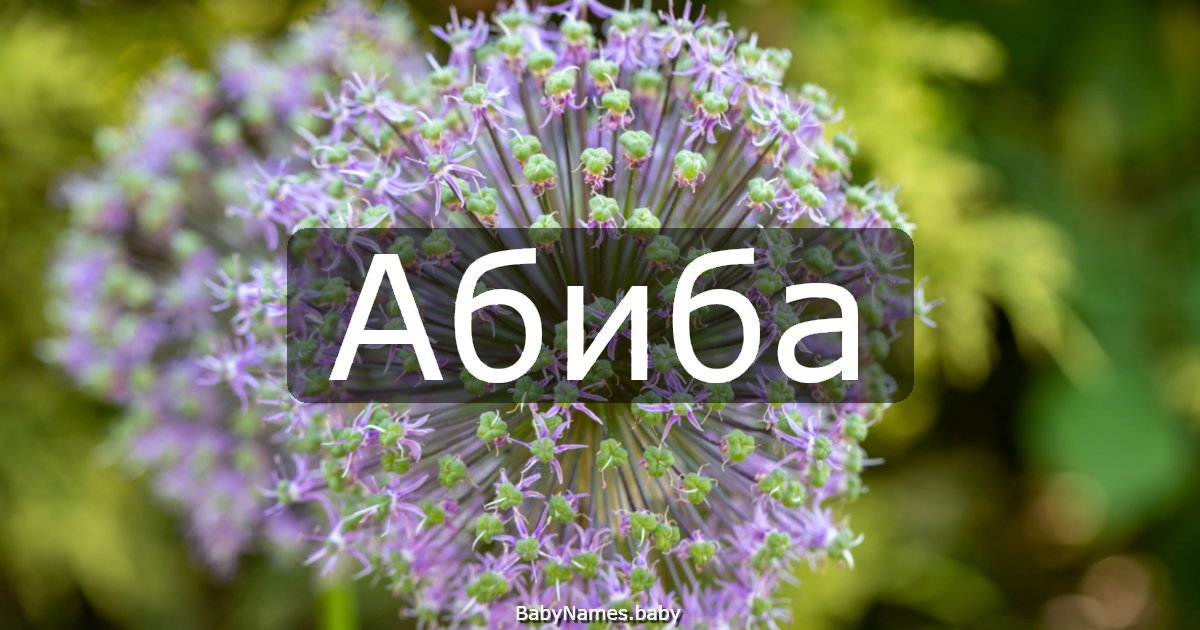 Абиба