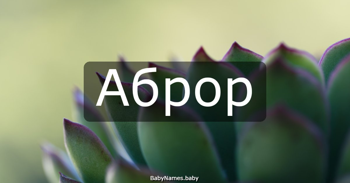 Аброр