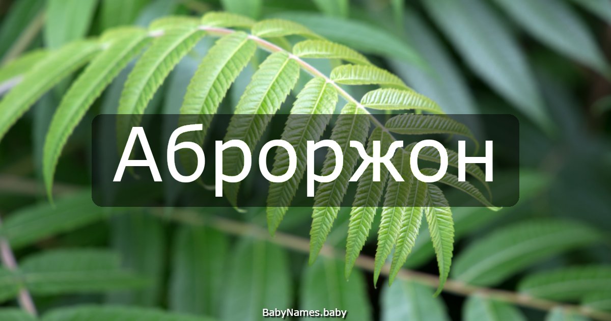 Аброржон