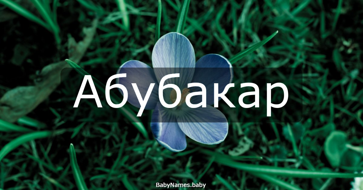 Абубакар