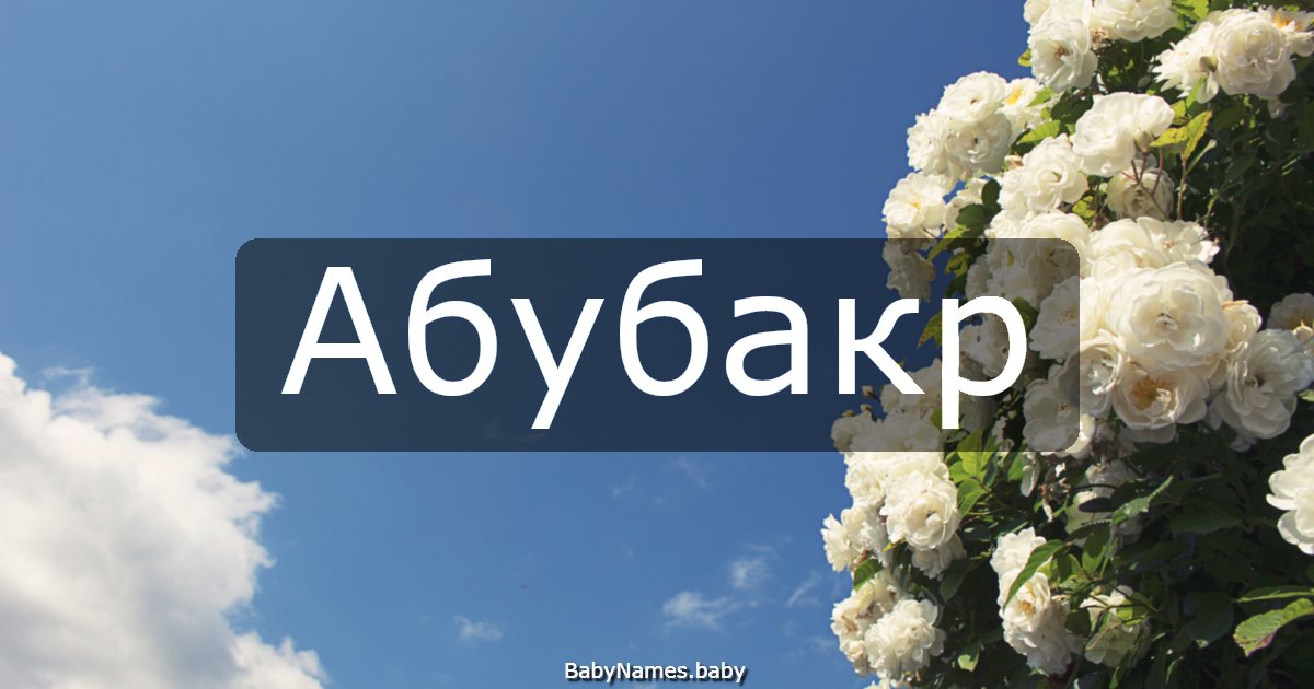 Абубакр