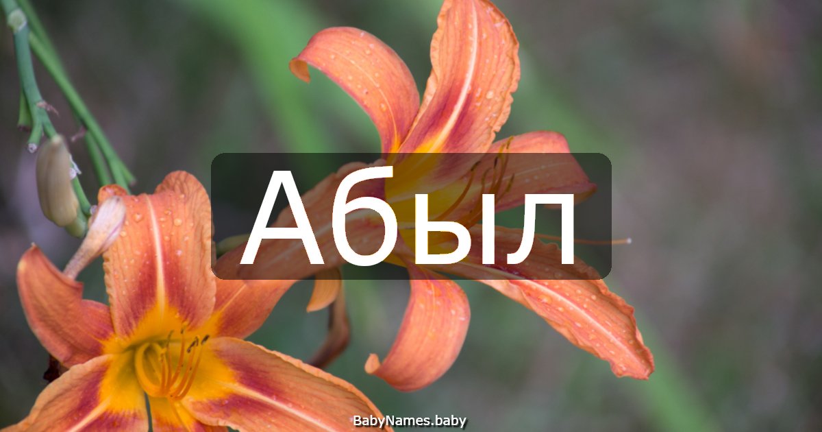 Абыл