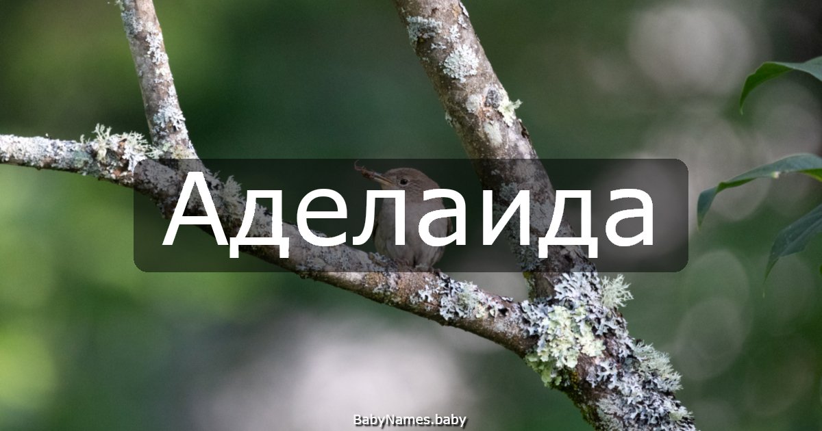 Аделаида