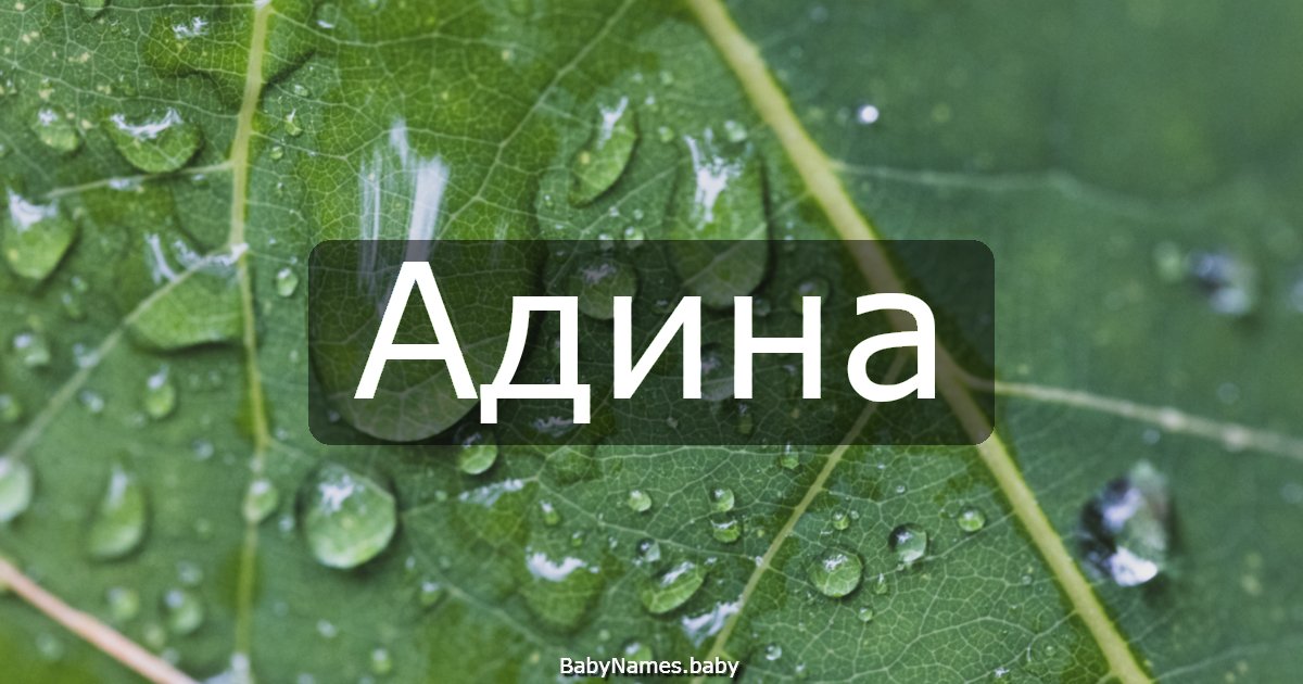 Адина