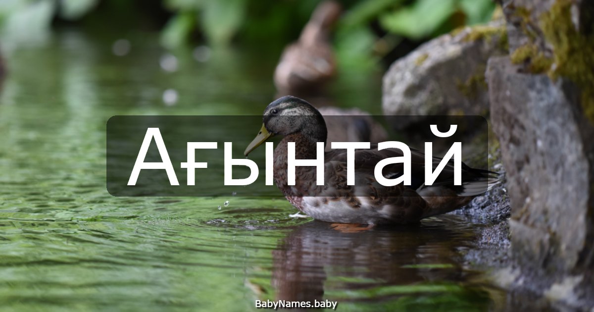 Ағынтай