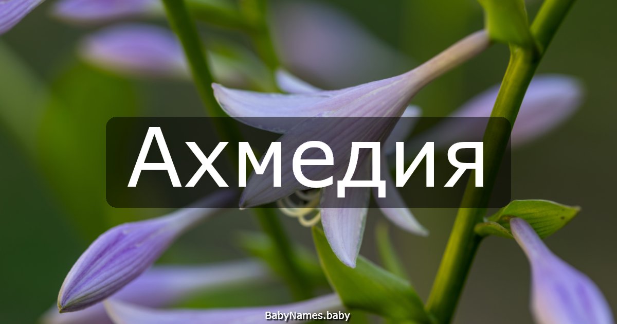 Ахмедия