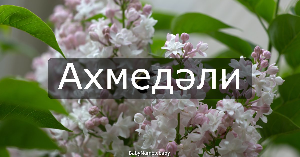 Ахмедәли