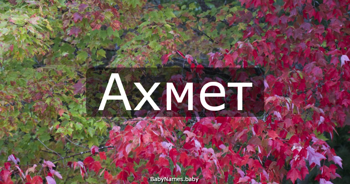 Ахмет