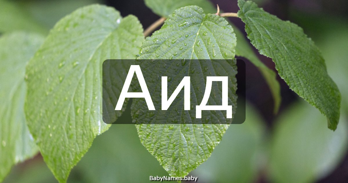 Аид