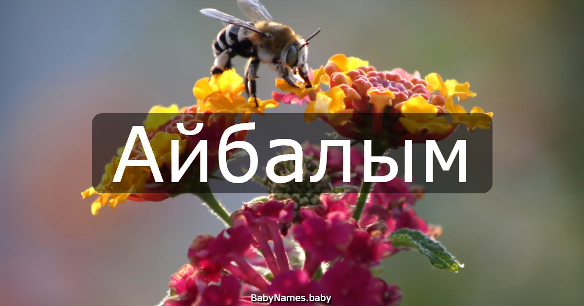 Айбалым