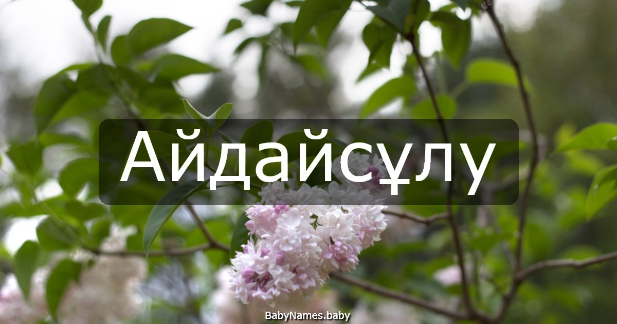 Айдайсұлу
