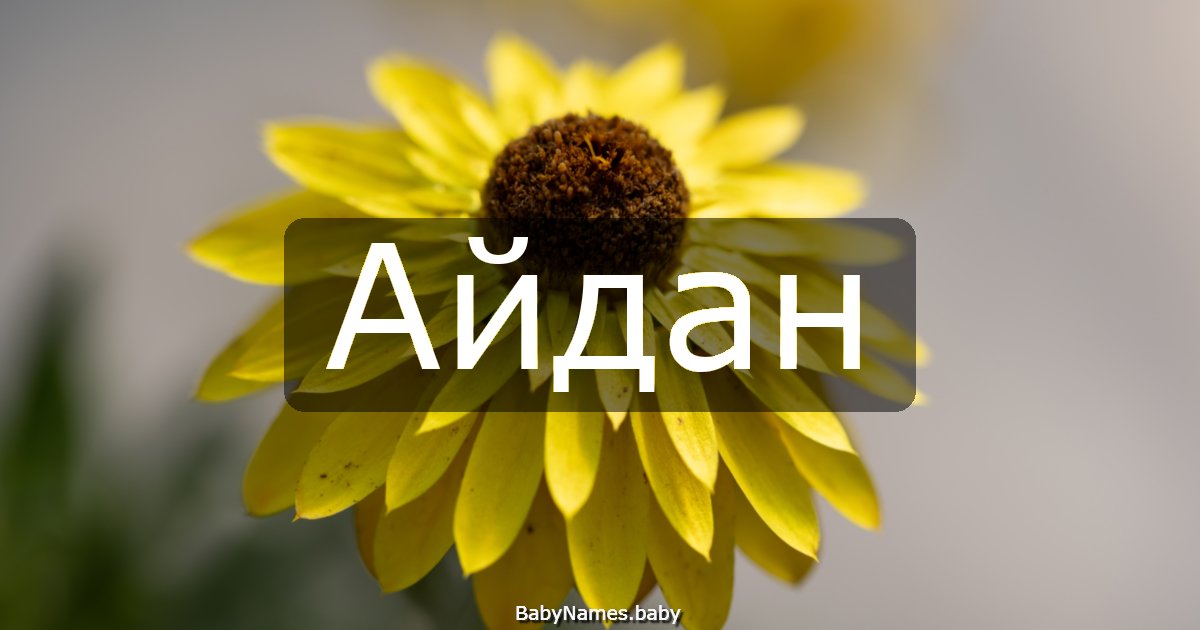 Айдан