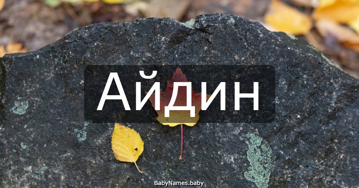 Айдин