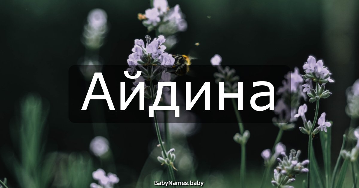 Айдина