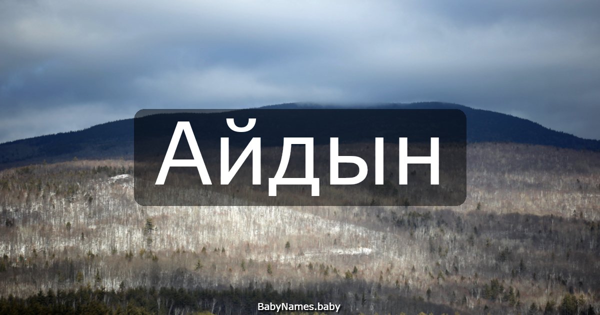 Айдын