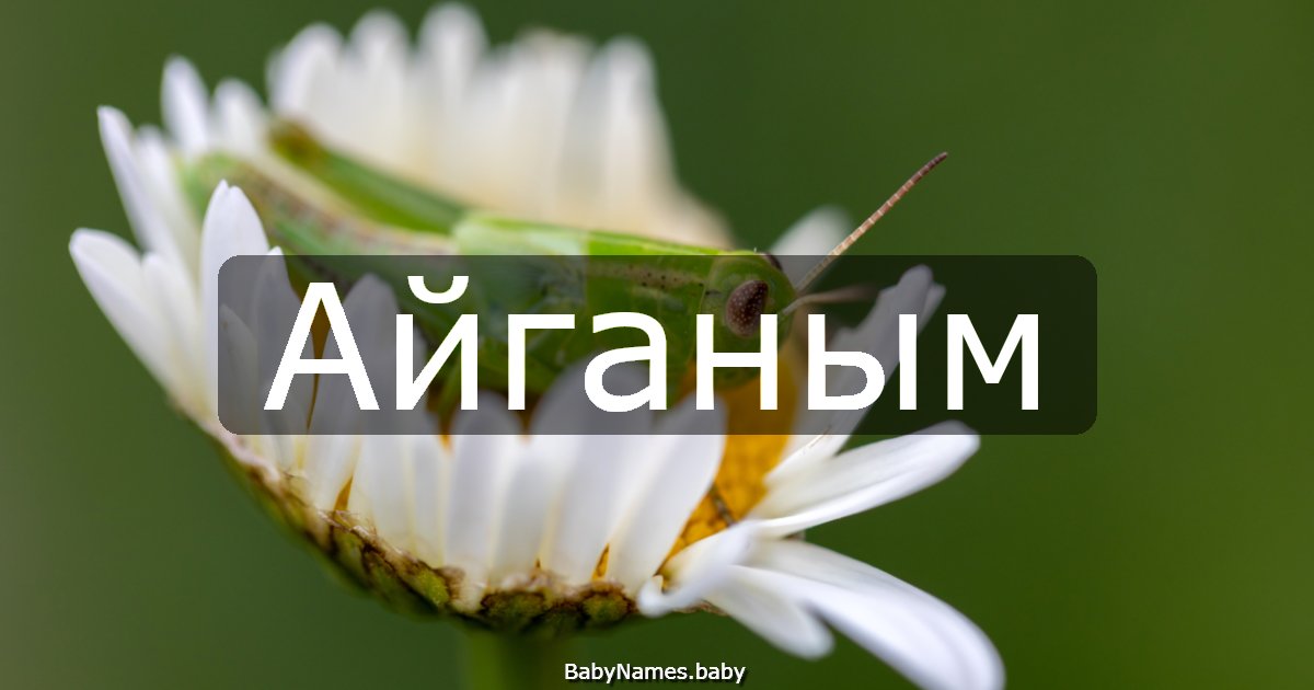 Айганым