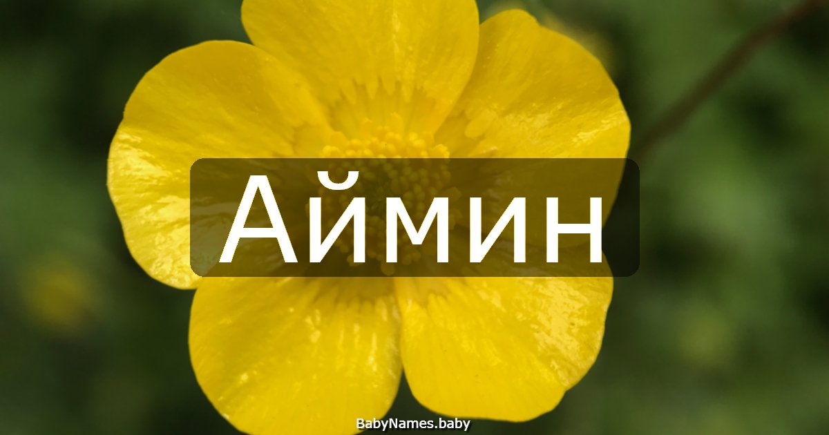 Аймин