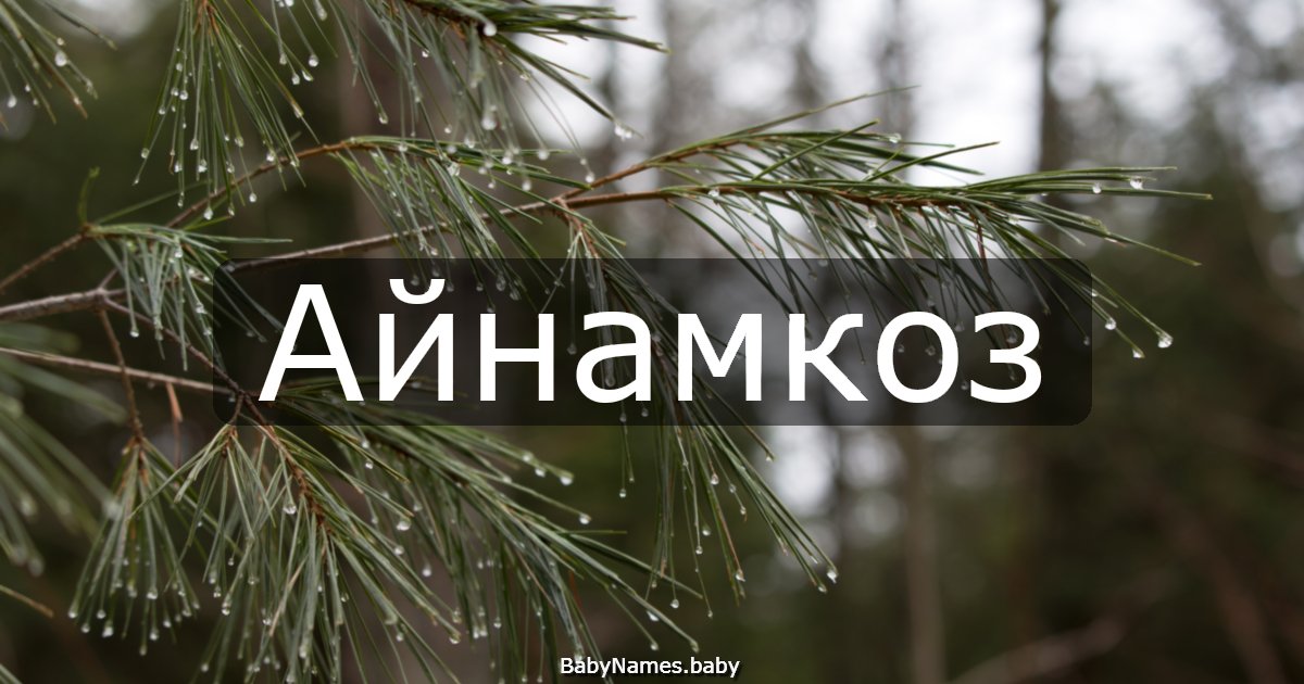 Айнамкоз