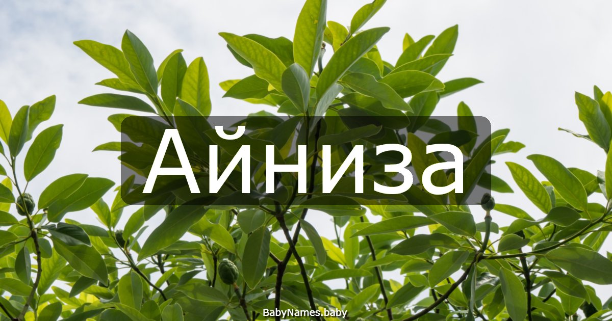 Айниза