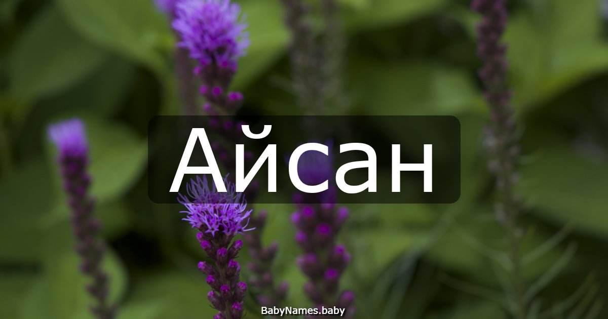 Айсан
