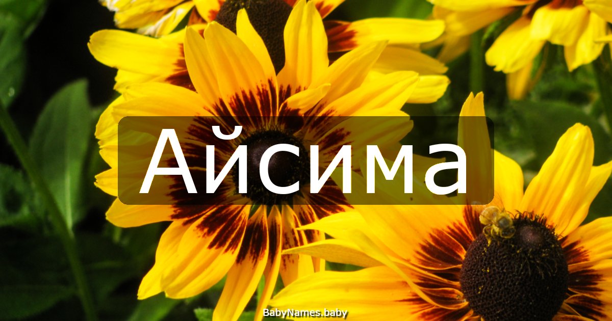 Айсима