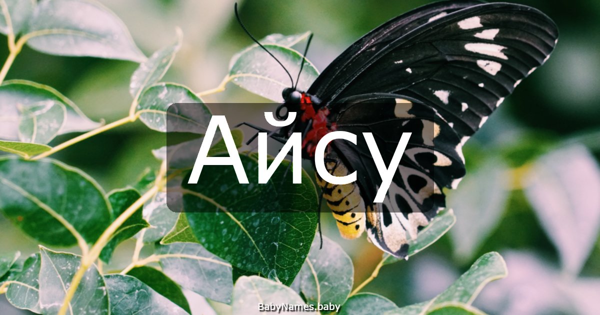 Айсу