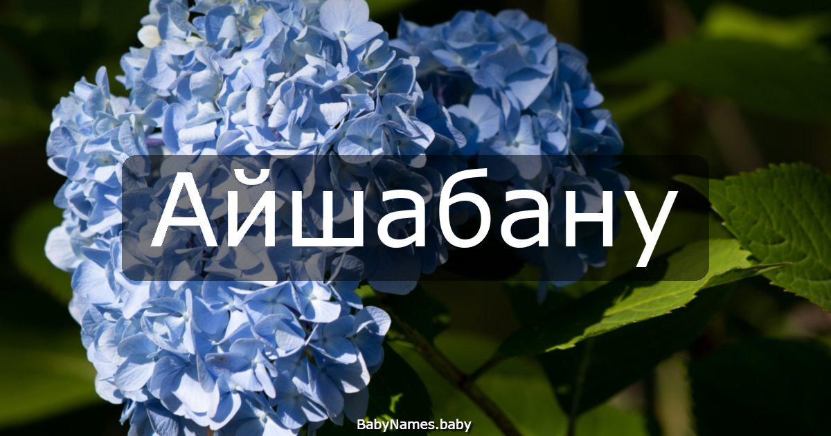 Айшабану
