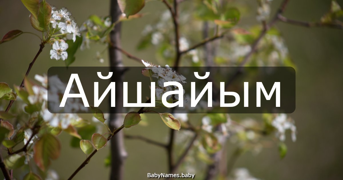 Айшайым
