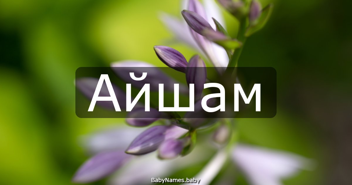 Айшам