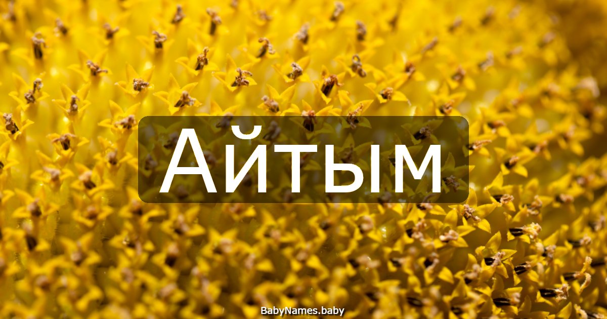 Айтым