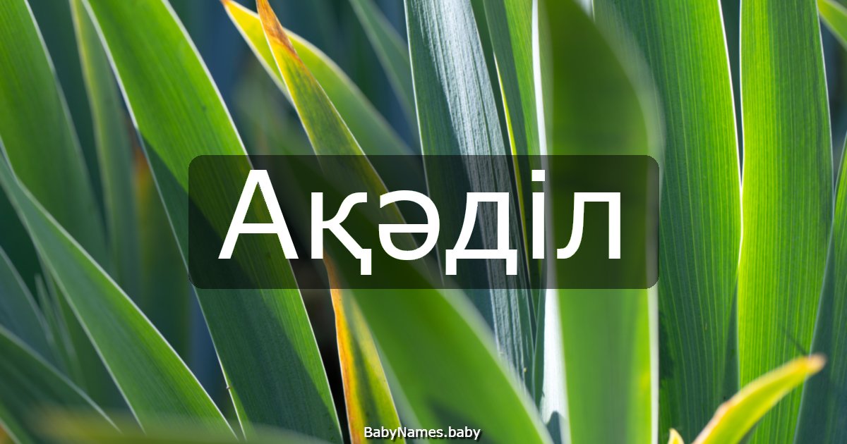 Ақәділ