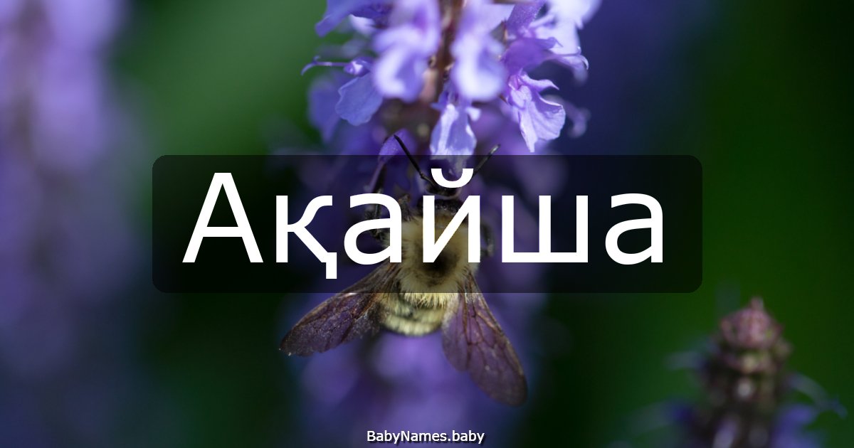 Ақайша
