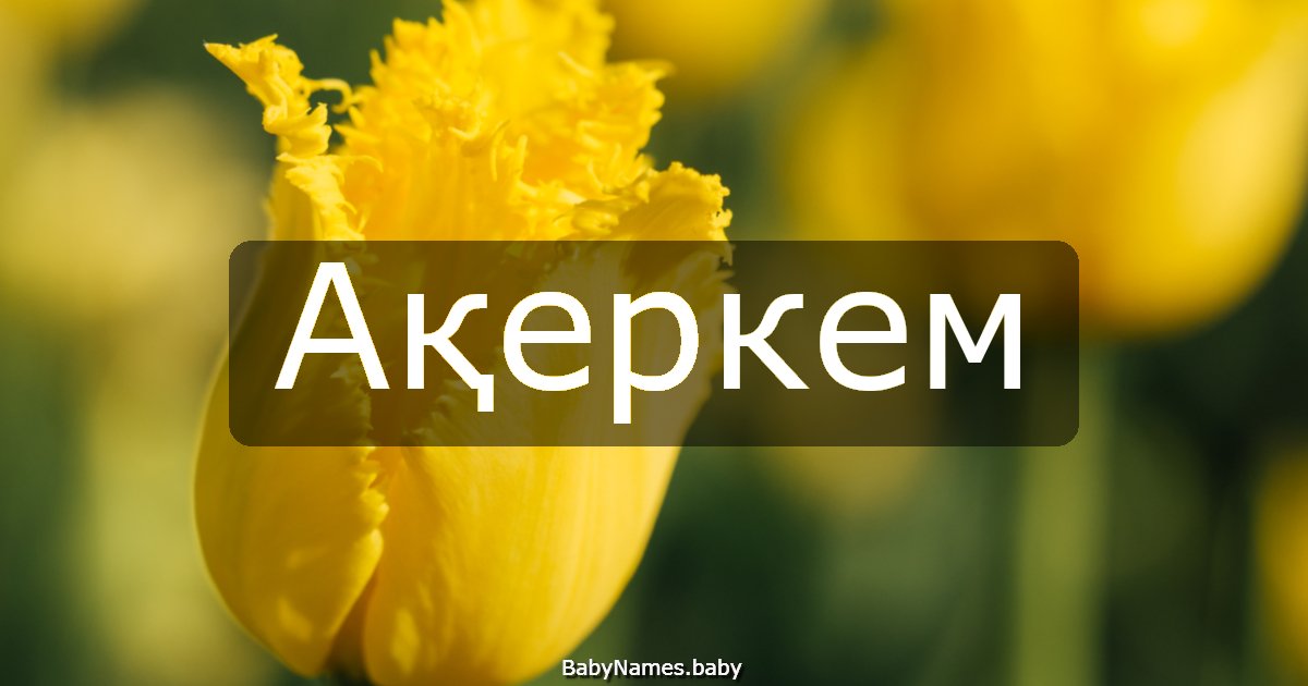 Ақеркем