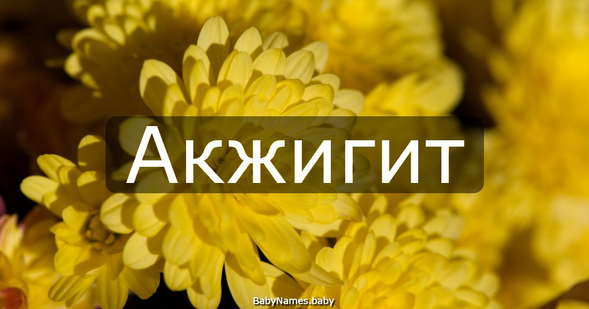 Акжигит
