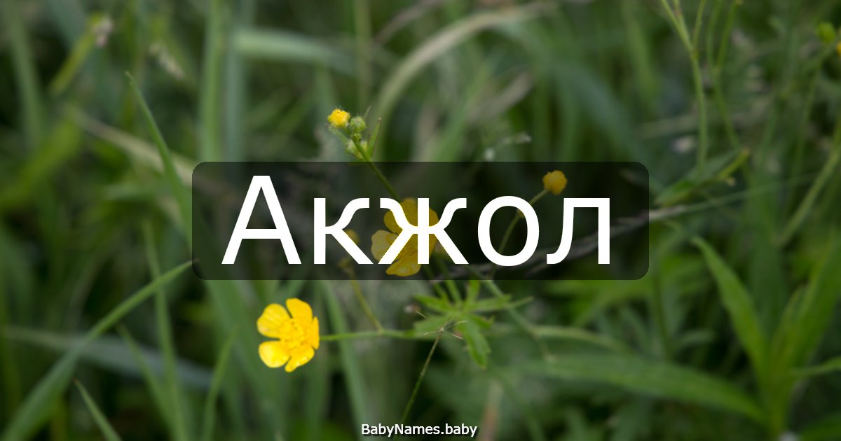 Акжол