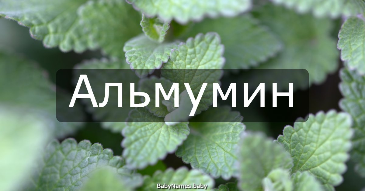 Альмумин