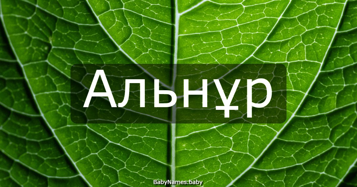 Альнұр
