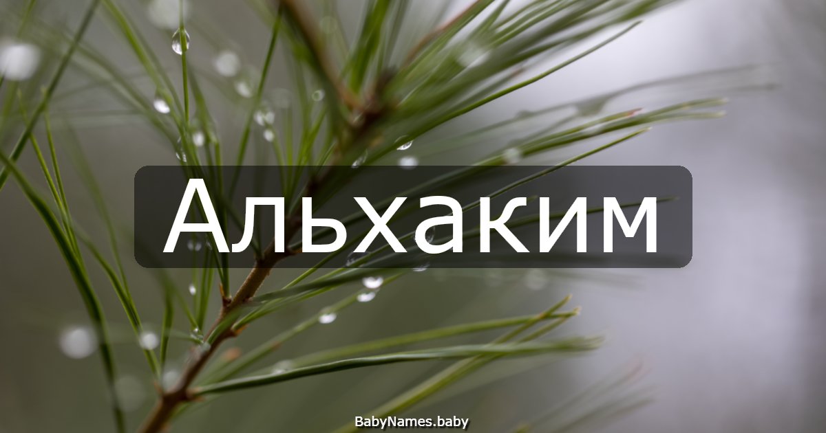 Альхаким