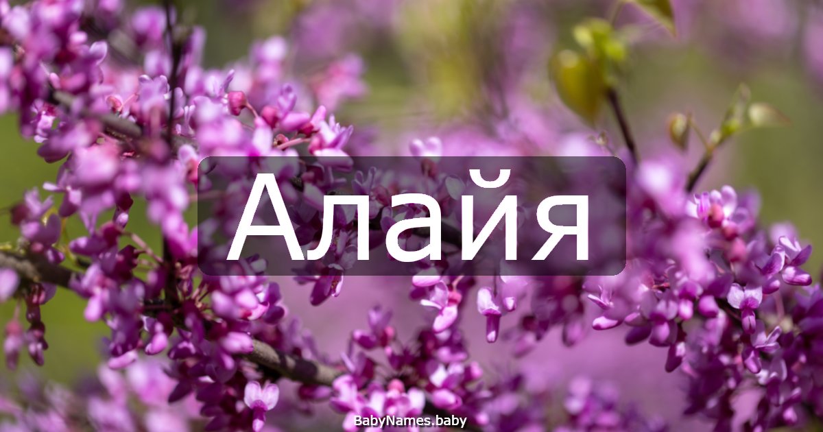 Алайя