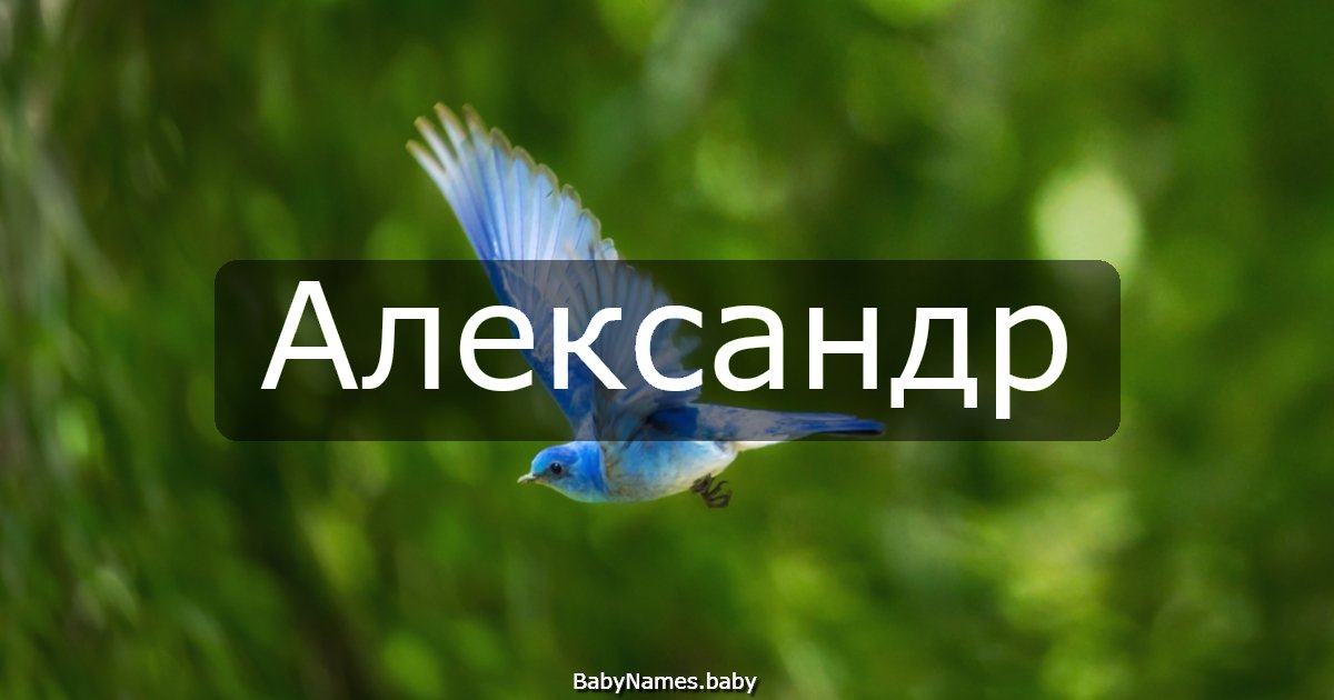 Александр