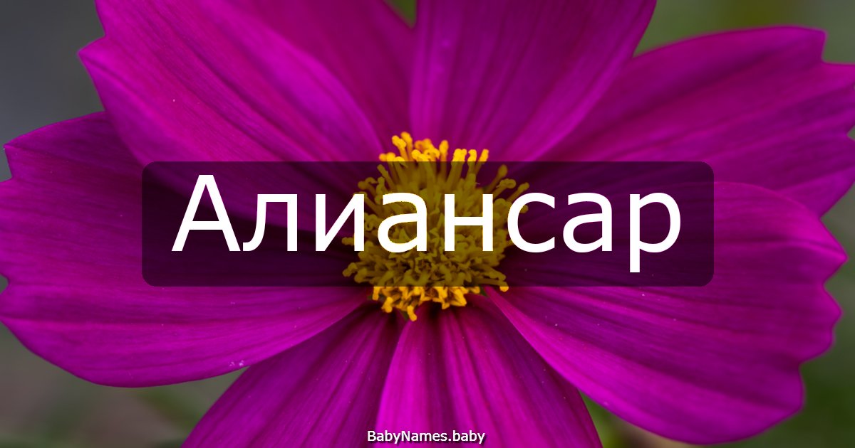 Алиансар