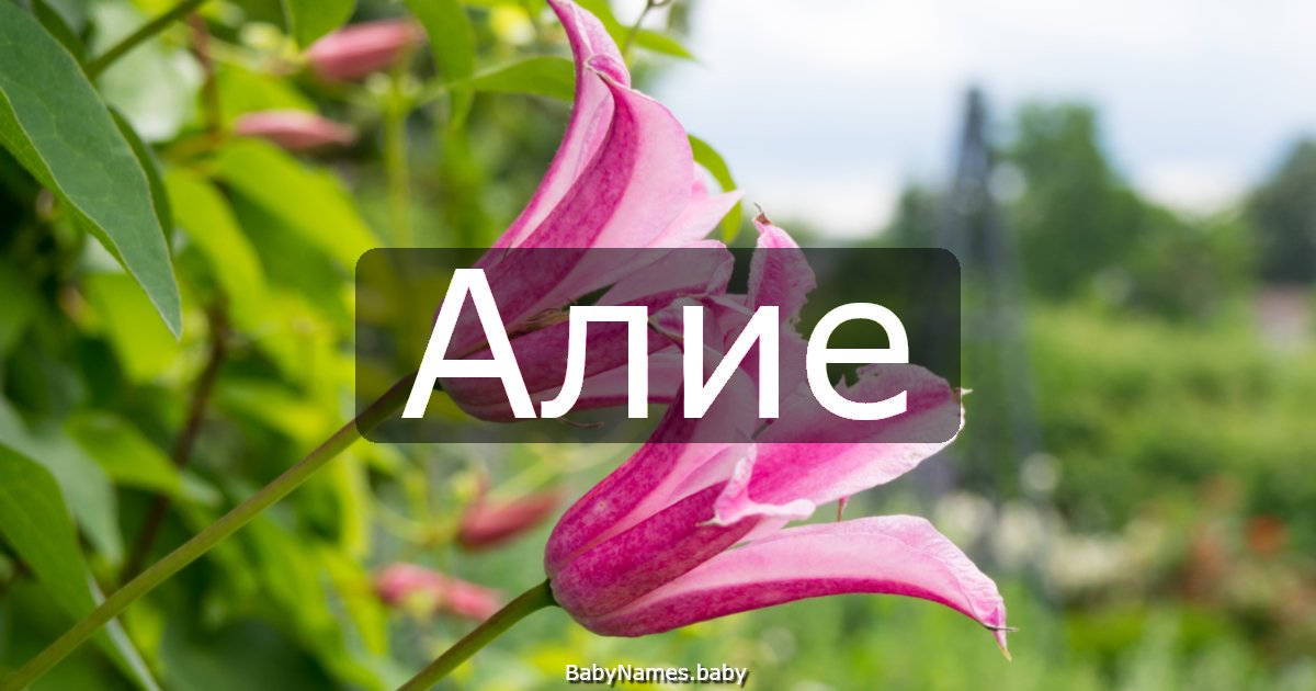 Алие