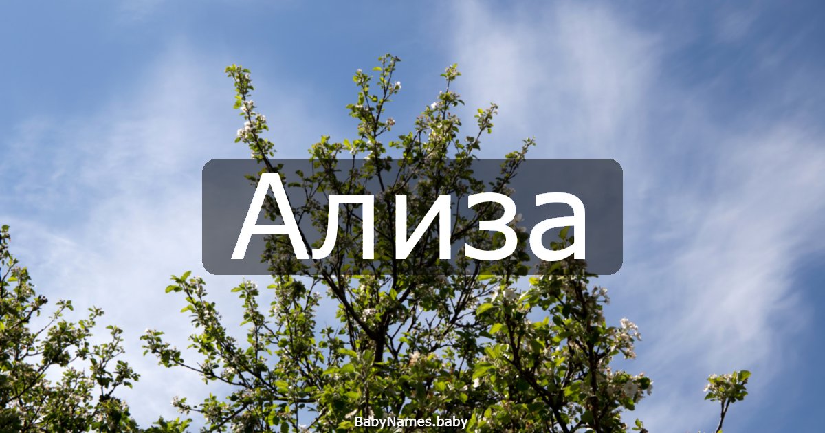 Ализа