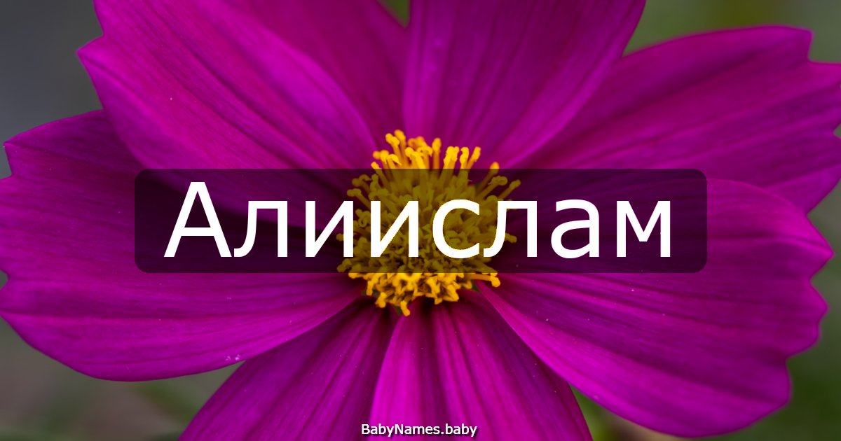 Алиислам