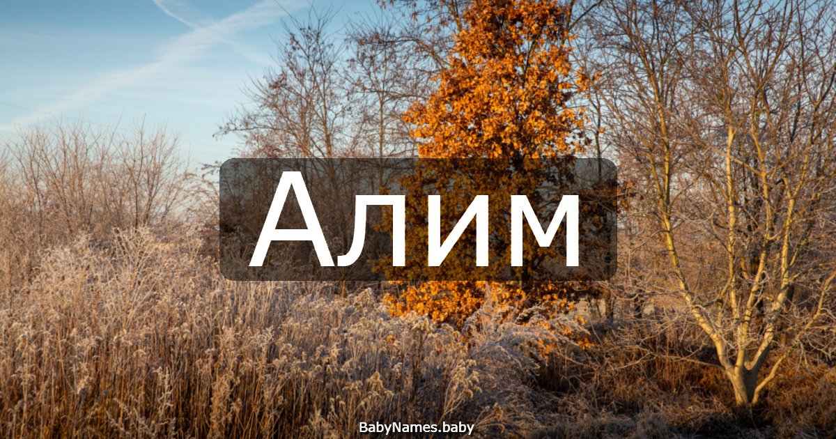 Алим