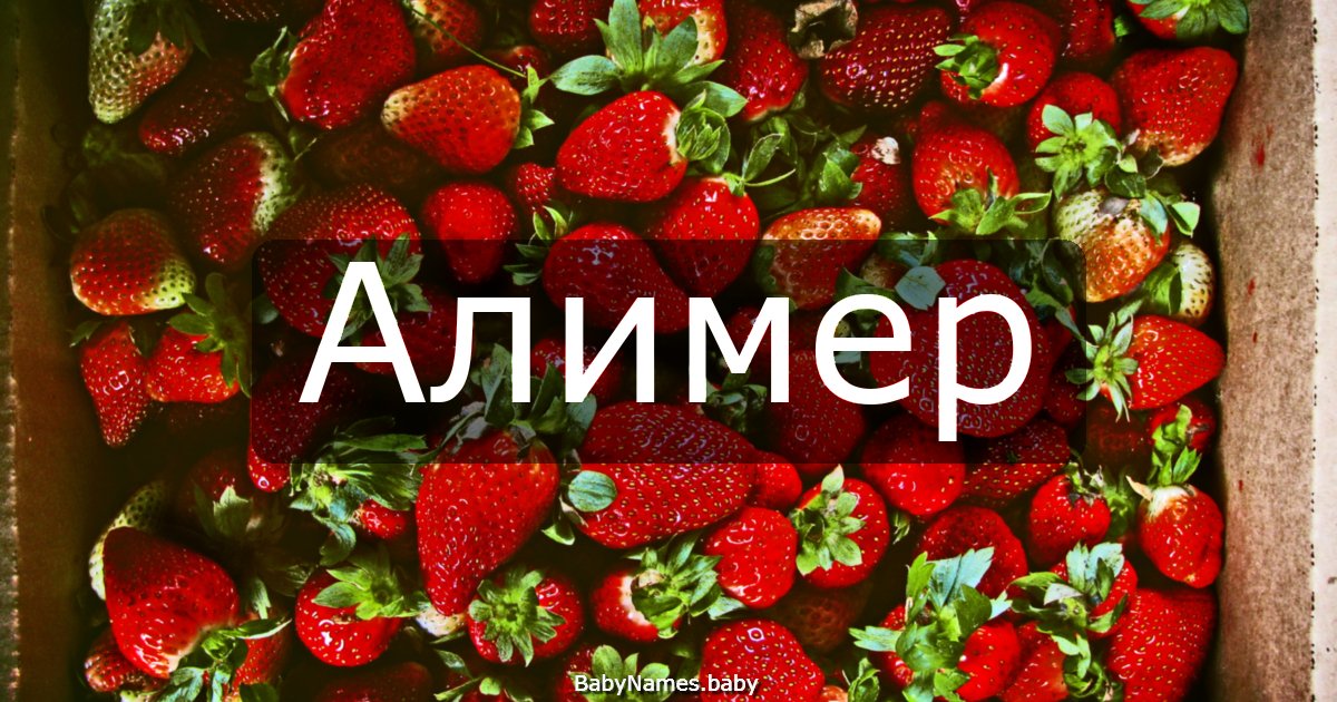 Алимер