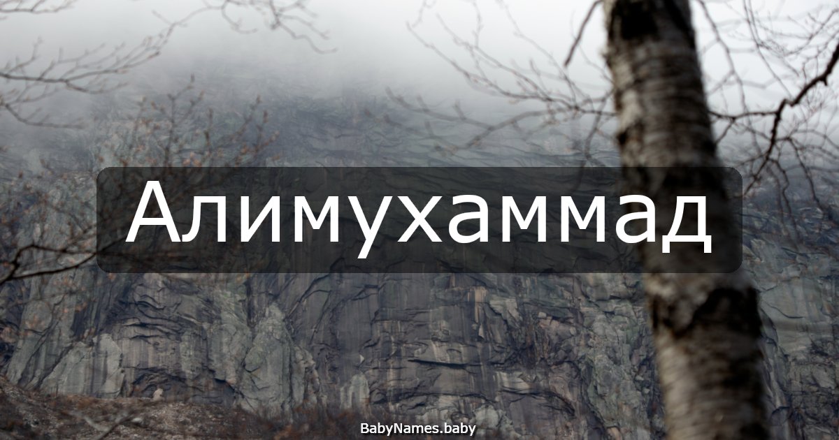 Алимухаммад