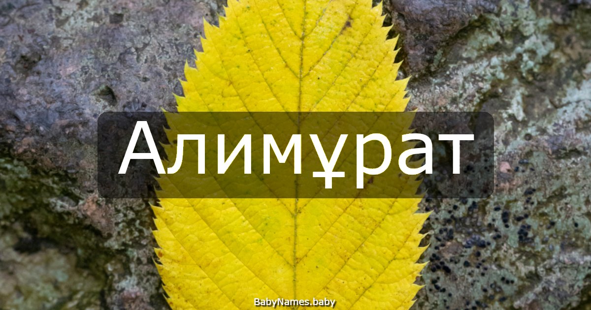 Алимұрат